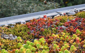 the cost of Poundgreen green roof installation