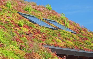 Poundgreen living roof systems